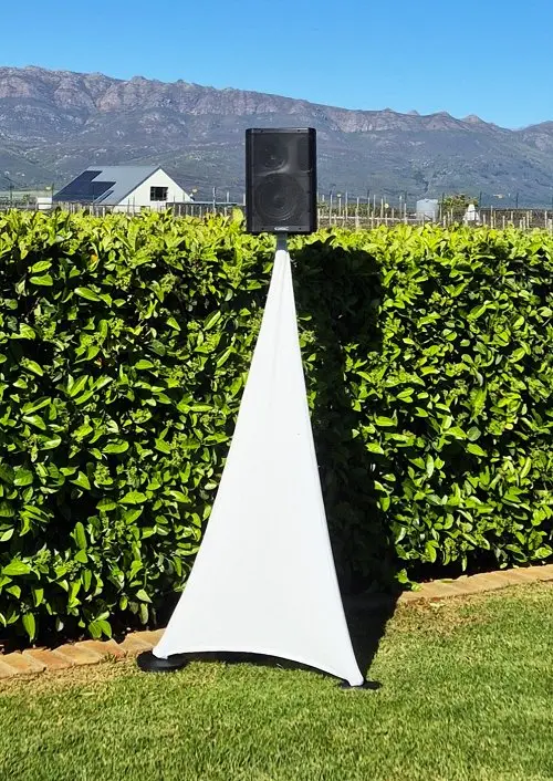 Wireless speaker